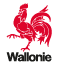 Logo de la Région Wallonne